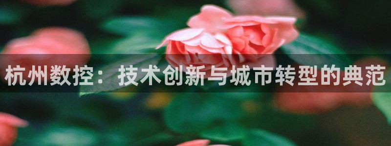 天辰娱乐 . 鱼刺