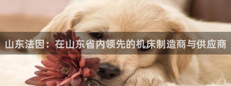 深圳天辰娱乐