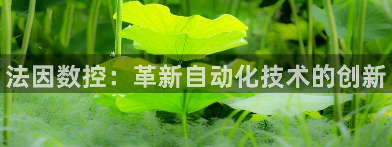 天辰天富娱乐