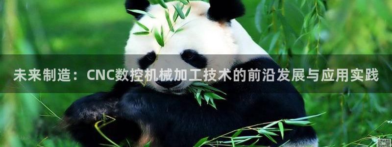 天辰娱乐53551