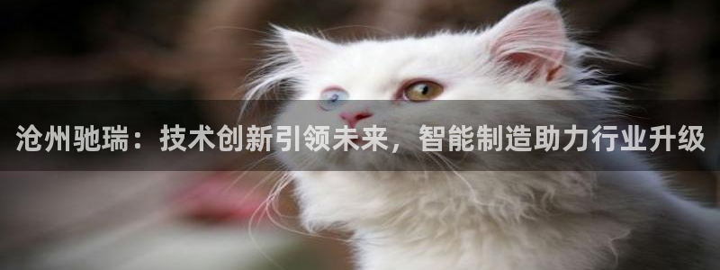 天辰娱乐平台