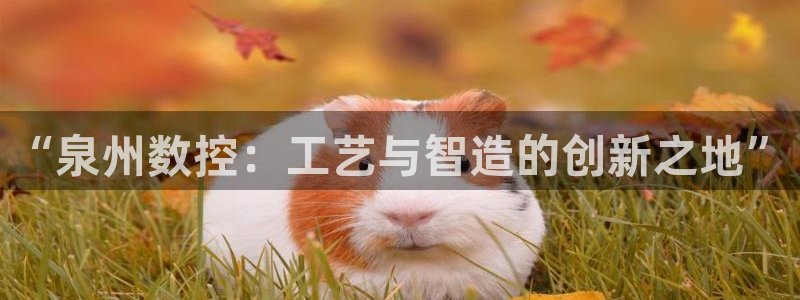 天辰娱乐反水