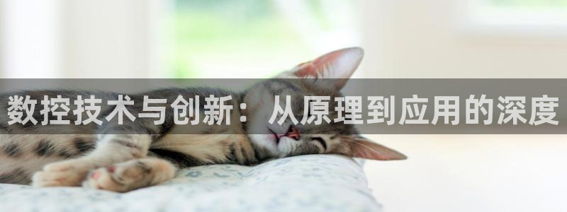 天辰娱乐75775