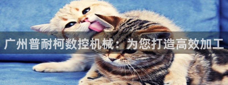 天辰国际娱乐