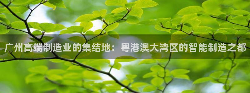 天辰娱乐代理