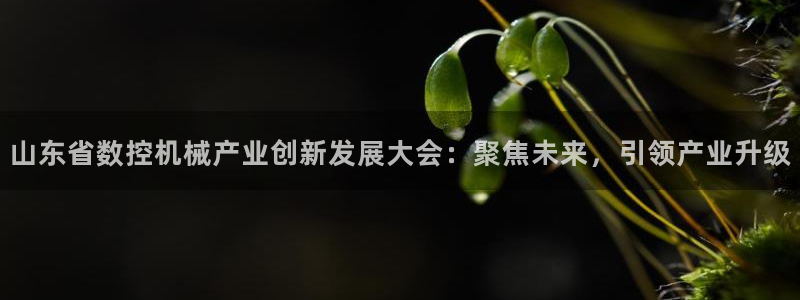 天辰娱乐 天辰平台