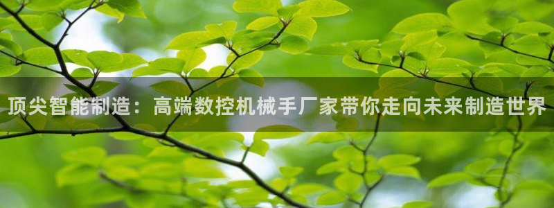 天辰娱乐文案