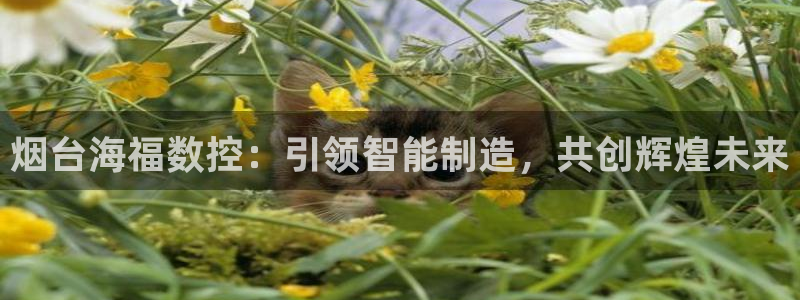 天辰娱乐注册