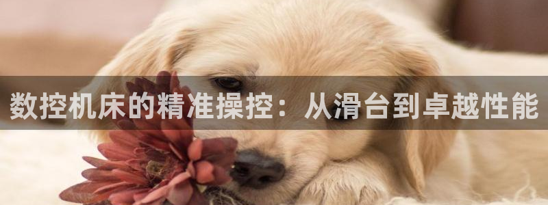 天辰娱乐新