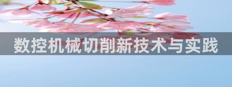 天辰娱乐股票