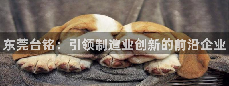 天辰娱乐957807