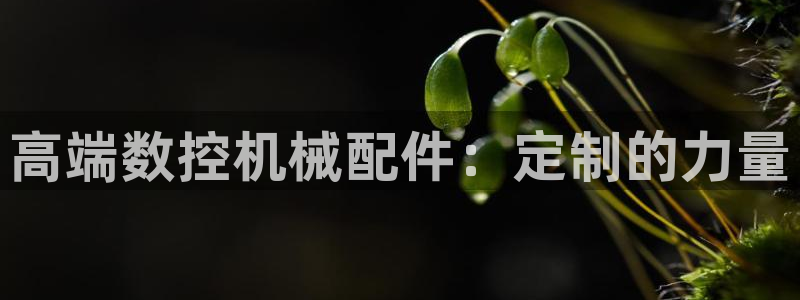 天辰娱乐官网平台下载