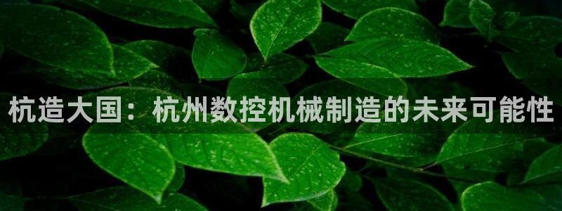 北京天辰娱乐
