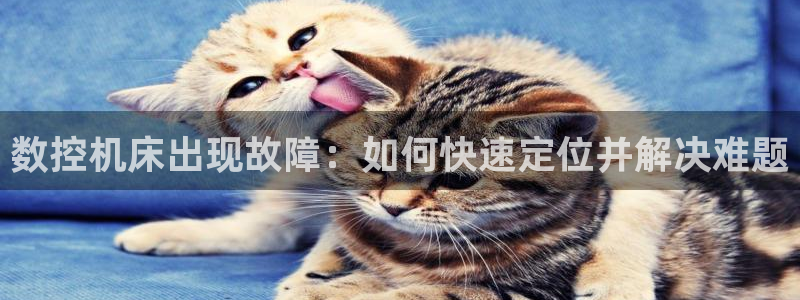 天辰宝娱乐