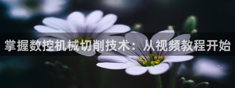 天辰娱乐主管