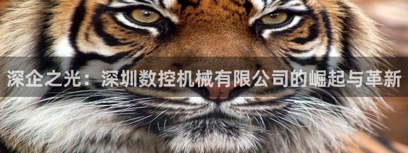 天辰娱乐登录网址