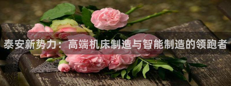 天辰娱乐1996
