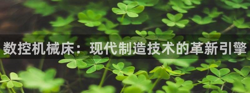 天辰娱乐小妹