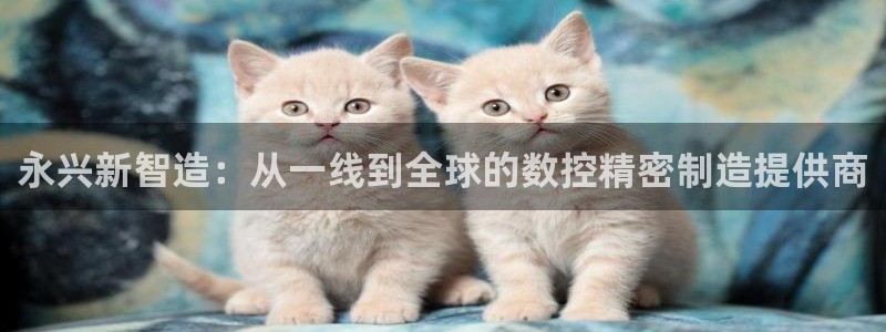 天辰娱乐总管年薪
