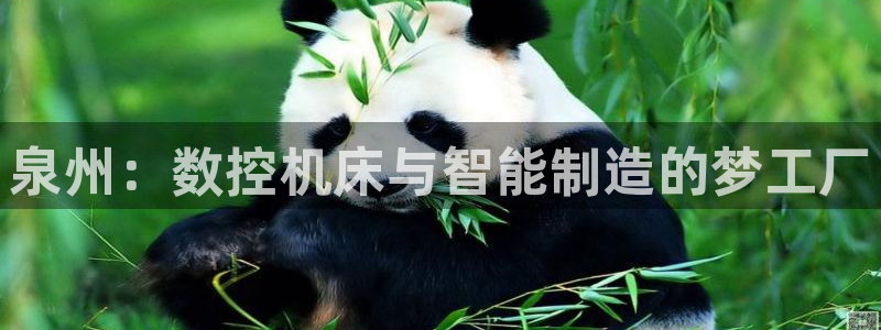 天辰娱乐主页