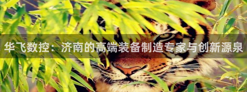 天辰娱乐481928