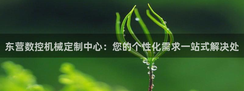 天辰娱乐股东