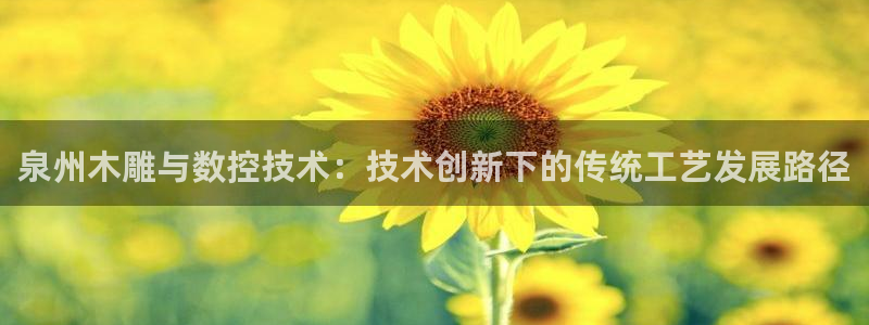 天辰娱乐-18113