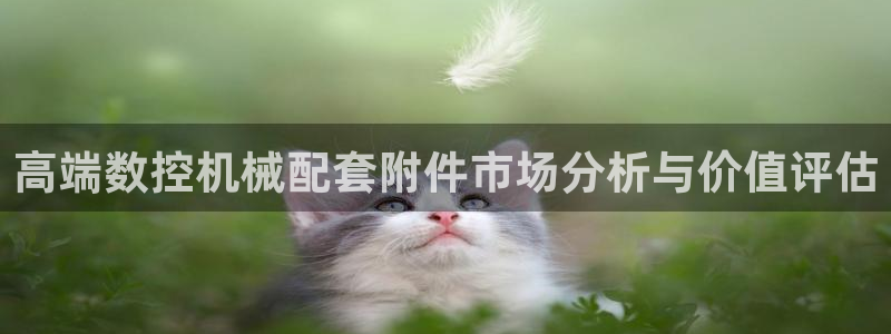 天辰娱乐平台地址在哪里