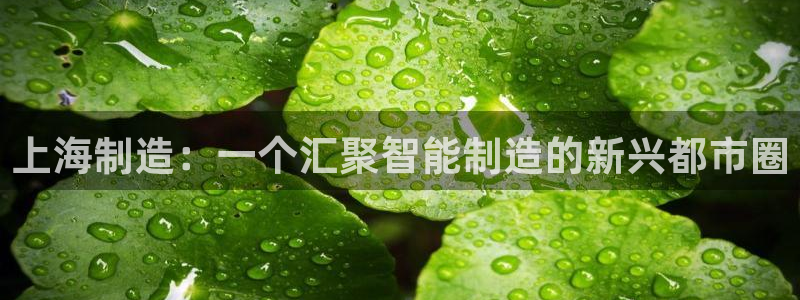 天辰娱乐登录