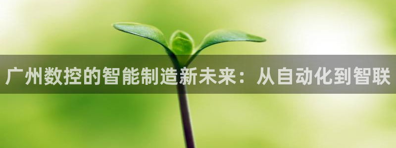 天辰娱乐总管