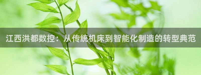 天辰娱乐957807：江西洪都数控：从传统机床到智能化制造的转型典范