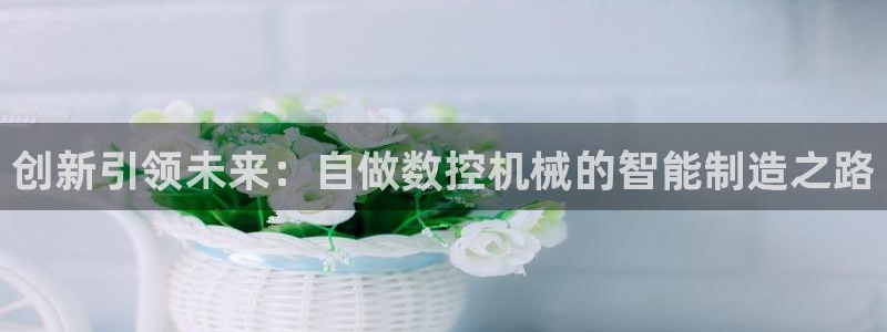 天辰娱乐服务：创新引领未来：自做数控机械的智能制造之路