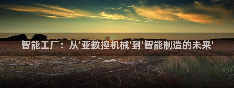 天辰娱乐入口