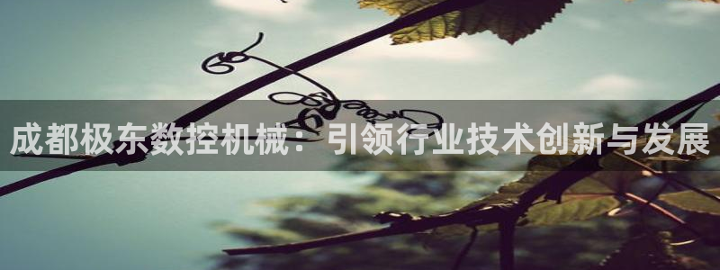 天辰娱乐维护：成都极东数控机械：引领行业技术创新与发展