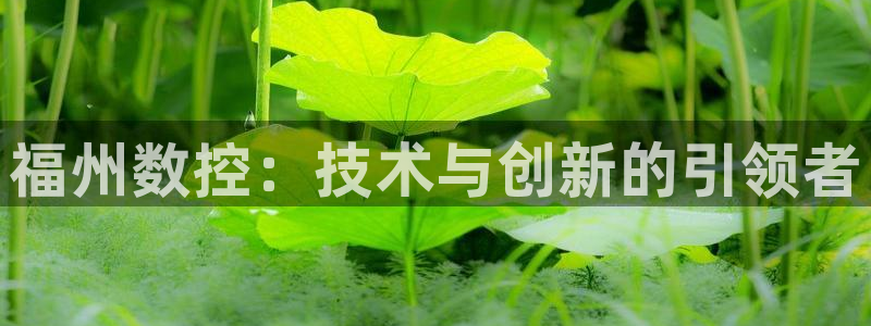 天辰娱乐 231639