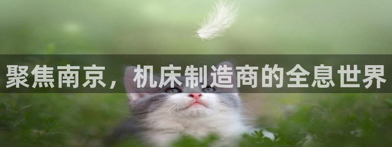 天辰娱乐官：聚焦南京，机床制造商的全息世界