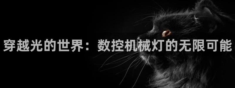 天辰娱乐地址：穿越光的世界：数控机械灯的无限可能