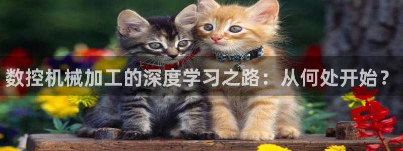 天辰线上娱乐
