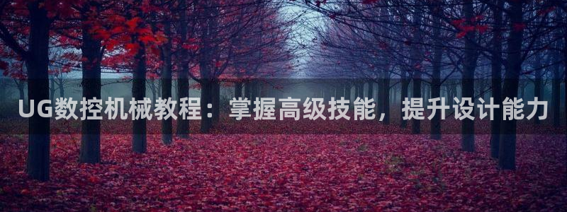 天辰娱乐总管