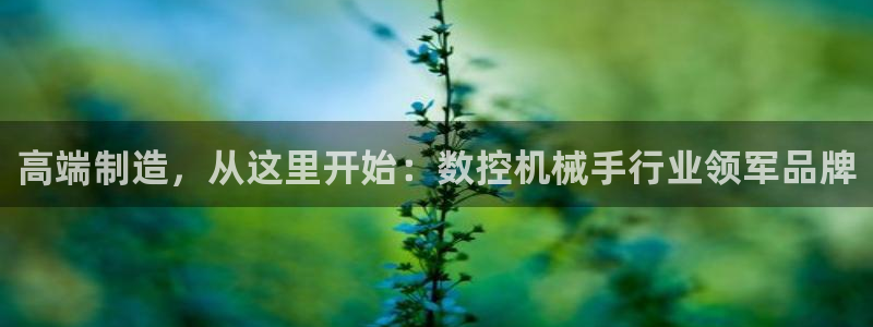 天辰娱乐游戏