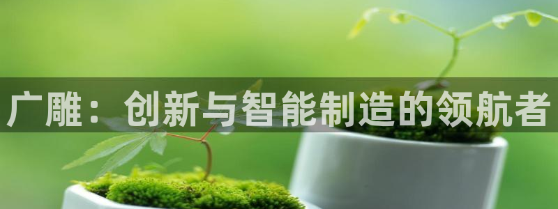 天辰娱乐小妹