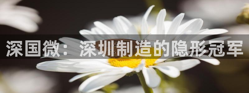 天辰娱乐-q