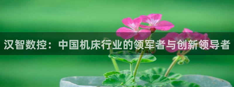 天辰娱乐 728567