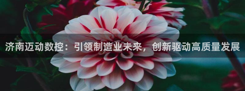 辰天娱乐