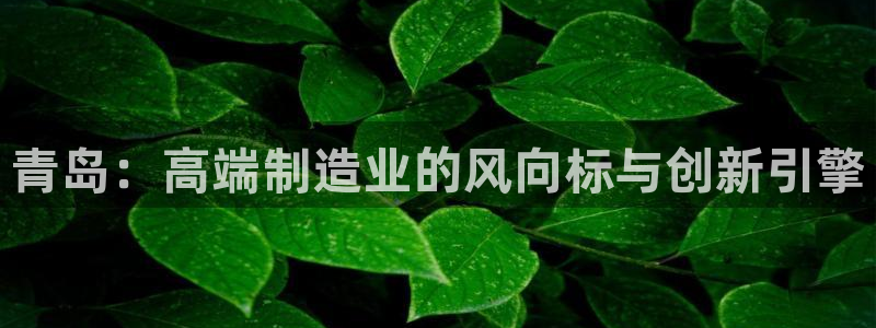 辰天娱乐