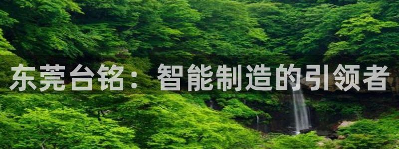 天辰娱乐60447