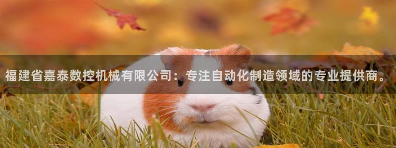 天辰团队贝高娱乐