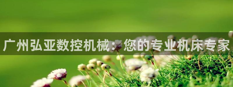 天辰娱乐测试