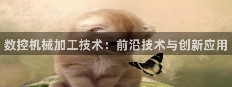 天辰娱乐官方登录入口