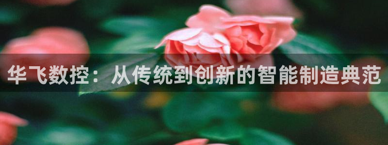 天辰娱乐2